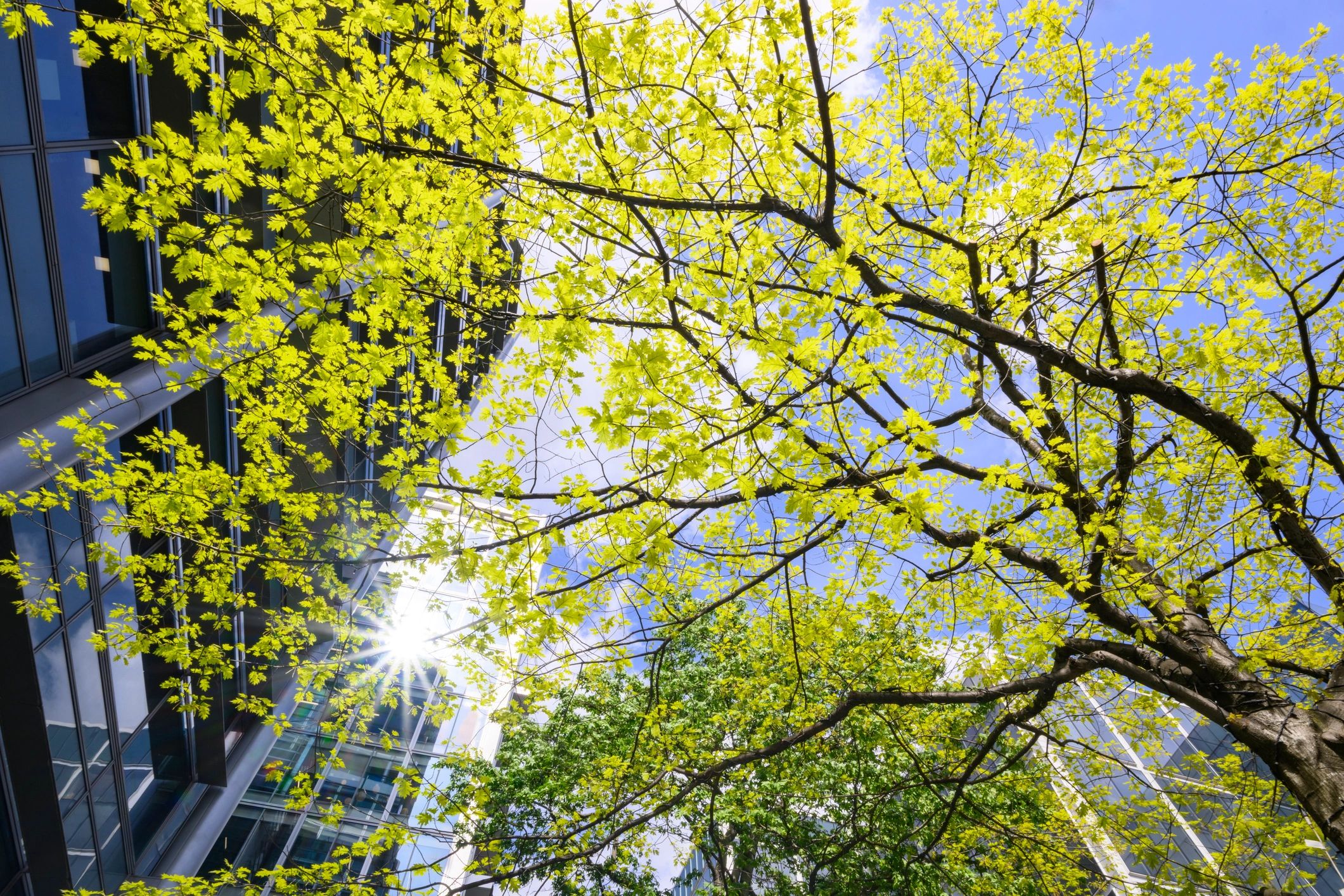 Managed property building in London